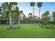 Expansive backyard featuring a well-manicured lawn, mature palm trees, and a pathway to the home at 2149 Hontoon Rd, Deland, FL 32720