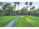 Picturesque backyard view featuring a stone pathway and lush green lawn lined with tall palm trees at 2149 Hontoon Rd, Deland, FL 32720