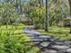 Long driveway lined with mature trees leading to home at 2149 Hontoon Rd, Deland, FL 32720