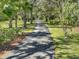Long paved driveway lined with mature trees and landscaping at 2149 Hontoon Rd, Deland, FL 32720