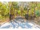 Gated driveway lined with lush trees, offering privacy and a serene entrance at 2646 Turnbull Bay Rd, New Smyrna Beach, FL 32168