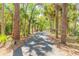 Long, paved driveway surrounded by lush greenery, creating a secluded atmosphere at 2646 Turnbull Bay Rd, New Smyrna Beach, FL 32168