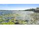 Scenic lake view with calm water, lily pads and surrounding trees provides a serene backdrop for relaxation at 3005 Garden Rd, Eustis, FL 32726