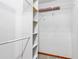 Bright closet space features white walls, installed shelving, a clothes rod, and carpeted flooring at 3104 Umbrella Tree Dr, Edgewater, FL 32141