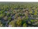 Wide aerial view of the residential community amidst lush greenery and mature trees at 782 Valencia Ave, Orange City, FL 32763