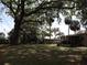 A large shade tree graces the back yard of these homes at 1151 Deltona Blvd, Deltona, FL 32725