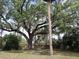 A large shade tree graces this home's spacious yard at 1151 Deltona Blvd, Deltona, FL 32725