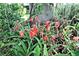 Beautiful landscaping featuring vibrant red lilies adding a touch of elegance to the yard at 1167 Peachtree Rd, Daytona Beach, FL 32114