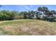 Spacious backyard with lush greenery, palm trees and room for outdoor activities at 130 Harrison Rd, Daytona Beach, FL 32118