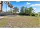 Spacious backyard showcasing mature palm trees, privacy fence, and ample space for landscaping at 2524 Anastasia Dr, South Daytona, FL 32119