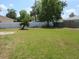 A spacious backyard with a palm tree along the fence at 2936 Lantern Dr, South Daytona, FL 32119