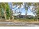 Lush backyard featuring mature trees and a partially obscured view of the home and pool area at 302 Lamberton Ln, Deland, FL 32724
