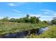 The backyard has a canal view and is surrounded by lush greenery and a serene body of water at 303 E Floral Ave, Eustis, FL 32726