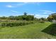 A large backyard featuring a vast green lawn perfect for outdoor activities and relaxing at 303 E Floral Ave, Eustis, FL 32726