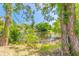 Scenic view of a tranquil pond surrounded by lush greenery and trees, offering a peaceful natural setting at 4589 Alder Dr, Port Orange, FL 32127