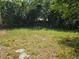 Large backyard is surrounded by mature trees at 508 N Keech St, Daytona Beach, FL 32114