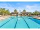 Large community pool with palm trees and lounge chairs for ultimate relaxation and fun in the sun at 8561 Randal Park Blvd, Orlando, FL 32832