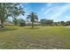 Expansive green lawn and mature landscaping in backyard at 1661 Timber Hills Dr, Deland, FL 32724