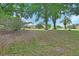 A large, lush backyard features mature trees that provide ample shade in this beautiful home at 1661 Timber Hills Dr, Deland, FL 32724