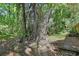 Lush backyard with mature trees, vines, and a small patio area at 1925 Hamilton Ave, Orange City, FL 32763