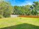 Large backyard with a mature tree line, and a new privacy fence at 243 S Hull Ave, Deland, FL 32720