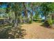 Spacious backyard featuring mature trees, providing ample shade and a peaceful atmosphere at 291 Sagewood Dr, Port Orange, FL 32127