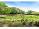 Beautiful backyard with lush green grass, trees, boardwalk over a wetland area, and seating at 313 Dirksen Dr # G4, Debary, FL 32713
