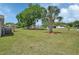 Expansive lawn featuring mature trees, palm trees, and a well-maintained landscape in a desirable neighborhood at 430 S Woodward Ave, Deland, FL 32720