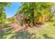 Backyard view featuring a screened lanai surrounded by lush landscaping at 6078 Tivoli Gardens Blvd, Orlando, FL 32829