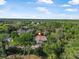 Panoramic aerial view showcasing a charming home surrounded by lush greenery at 6247 Palomino Cir, Port Orange, FL 32127