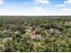 Stunning aerial view of a house nestled amongst lush greenery and mature trees at 6247 Palomino Cir, Port Orange, FL 32127