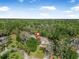 Aerial view of a charming home surrounded by lush trees and beautiful landscaping at 6247 Palomino Cir, Port Orange, FL 32127