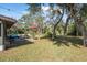 Backyard features a grassy lawn, patio with outdoor seating, lush trees, and an umbrella at 6247 Palomino Cir, Port Orange, FL 32127