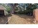 Backyard with a large tree and trimmed walking path at 913 Lake Lindley N Dr, Deland, FL 32724