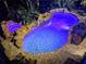 Aerial view of lit backyard pool and hot tub with rock features and luxurious outdoor seating at night at 1117 Oxbridge Ln, Ormond Beach, FL 32174