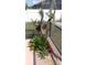 Landscaping adds a touch of nature to the screened pool area at 1491 E Palomar Dr, Deltona, FL 32738