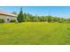 Huge, grassy backyard surrounded by trees and plants, perfect for outdoor activities and landscaping at 1855 Cattle Creek Ln, Port Orange, FL 32128