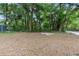 Spacious backyard surrounded by lush greenery and mature trees at 211 S Delaware Ave, Deland, FL 32720