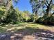 Expansive backyard surrounded by lush greenery offering privacy at 249 Citra St, De Leon Springs, FL 32130