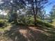 House and trees can be seen in the backyard at 328 W Connecticut Ave, Lake Helen, FL 32744