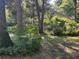 A glimpse of the back of the house through the trees at 328 W Connecticut Ave, Lake Helen, FL 32744