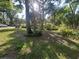 A quiet and lush front yard at 328 W Connecticut Ave, Lake Helen, FL 32744