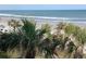 Breathtaking beach view framed by palm trees, showcasing the ocean and sandy shoreline at 935 S Atlantic Ave # 364, Daytona Beach, FL 32118