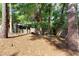 Wooded backyard featuring mature trees, an obstacle course, and lush foliage at 1081 Torchwood Dr, Deland, FL 32724