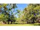 Picturesque backyard pond surrounded by mature trees and lush greenery, ideal for nature lovers at 150 Lake Charles Rd, Deland, FL 32724