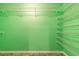 Spacious walk-in closet with shelving and green walls over stone-patterned flooring at 1927 Orange Tree Dr, Edgewater, FL 32141