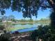 Picturesque view of a tranquil pond filled with lily pads, surrounded by lush greenery and mature trees at 2427 Beck Cir, Deltona, FL 32738