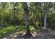 Grassy backyard featuring a fire pit and string lights, creating a cozy outdoor space at 261 Clydesdale Cir, Sanford, FL 32773