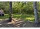 Spacious backyard with lush greenery and a fire pit, perfect for relaxation and entertainment at 261 Clydesdale Cir, Sanford, FL 32773