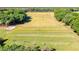 Scenic view of the golf course, with players enjoying a round of golf at 2901 Monaghan Dr, Ormond Beach, FL 32174
